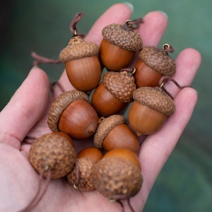 Set of 10 natural acorn ornaments, Handmade rustic Christmas decor, Pagan witchy Yule tree decoration, Earthy harvest cottagecore altar