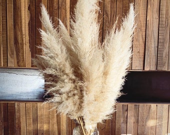 Op de afbeelding: Een boeket gedroogd pampasgras in een heldere glazen vaas. De vaas staat op een houten tafel met een boek en een decoratief bord.