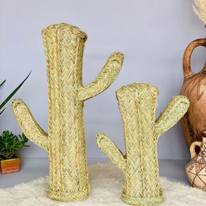 Boho braided wicker cactus, straw cactus