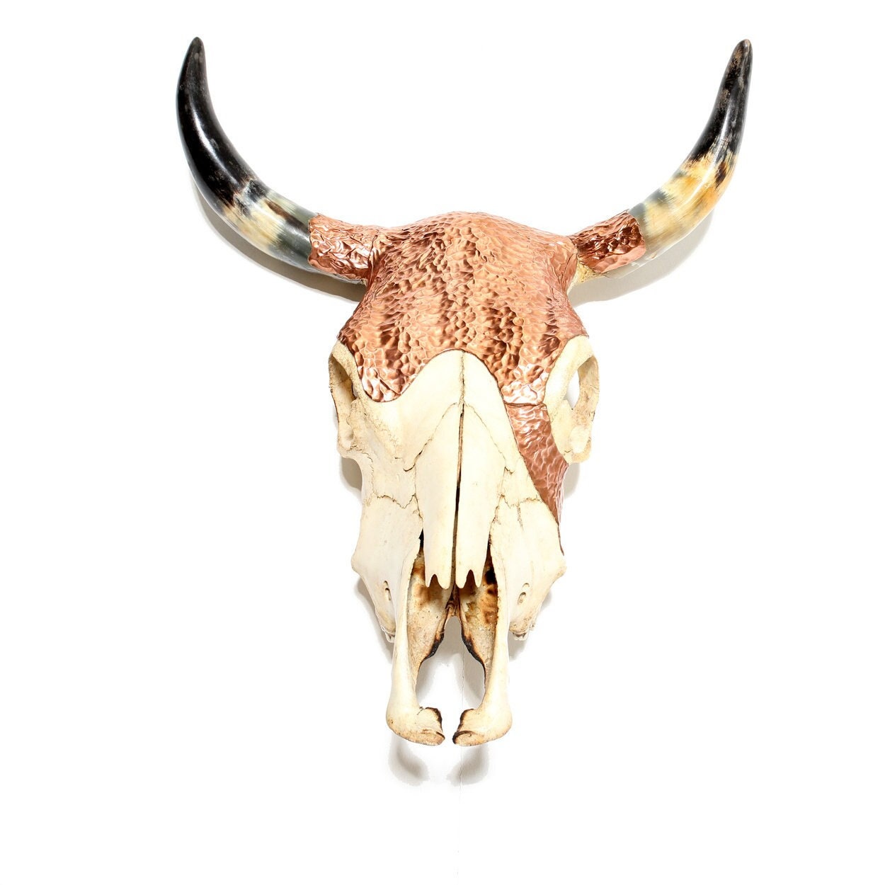 The Copper Skull, Tête