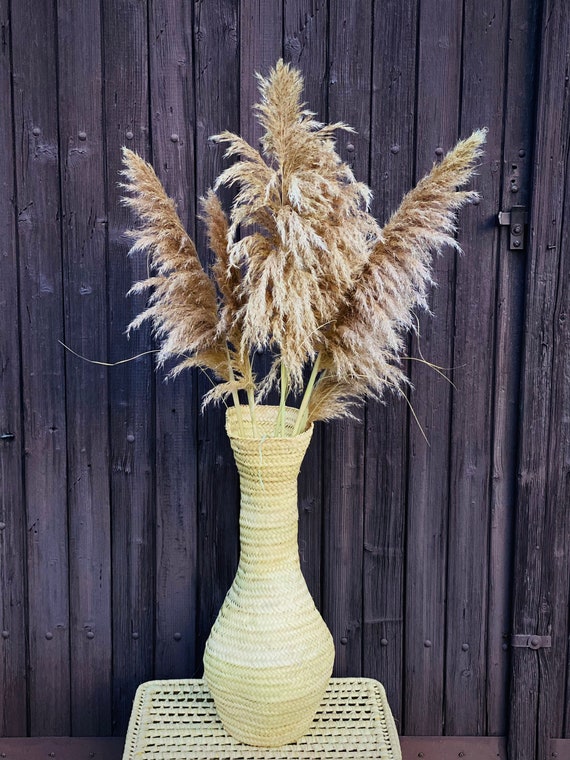 Bouquet de Pampa bronze Herbe de la Pampa séchées mordorées - Etsy France