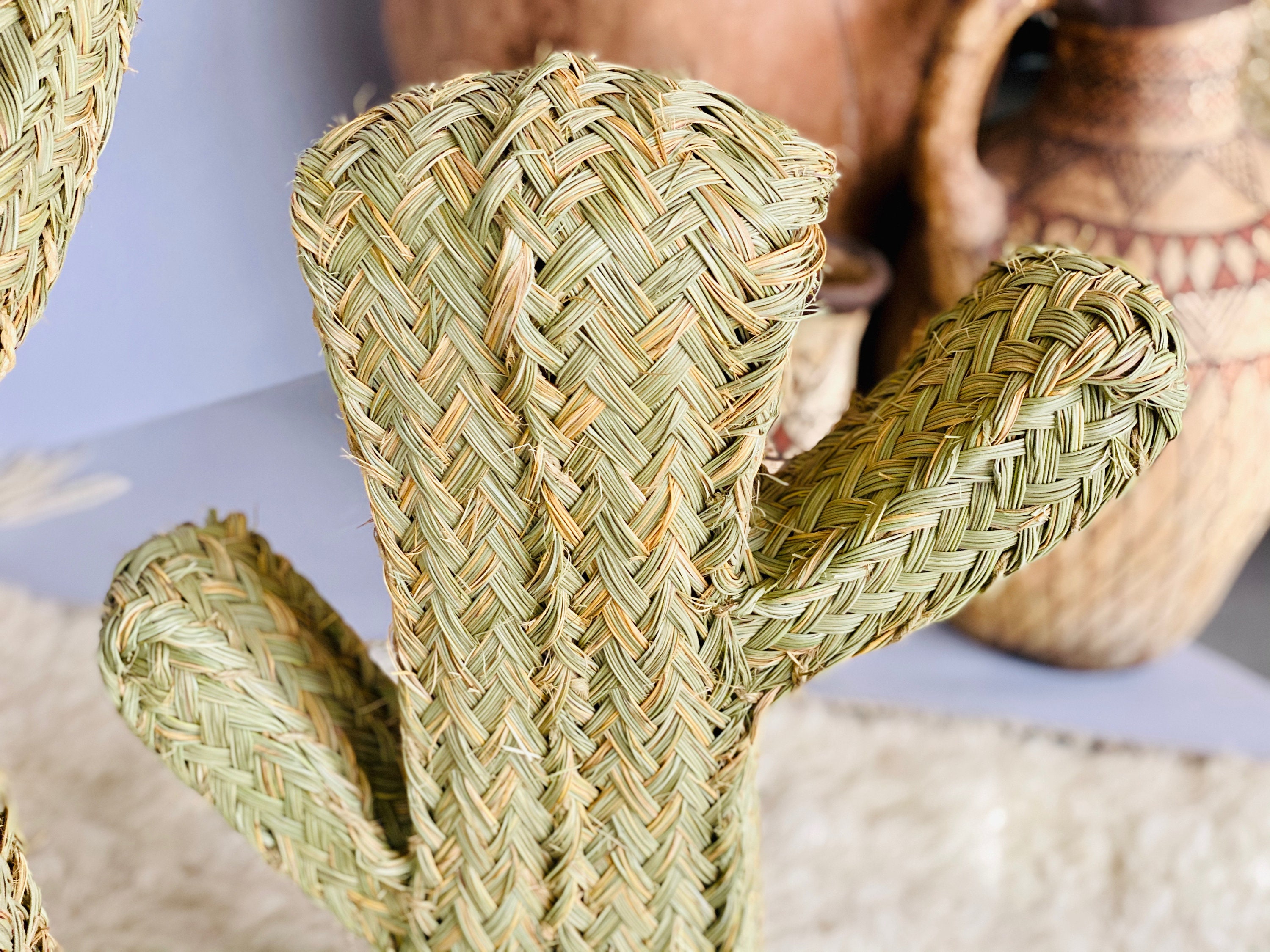 Boho Braided Wicker Cactus, Straw Cactus 