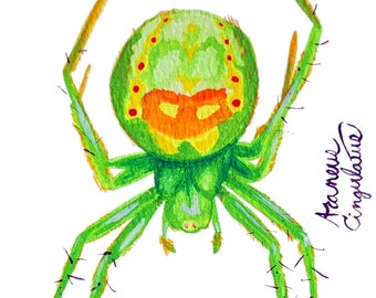 Spotted Green Garden Spider Postcard