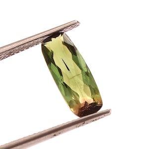Watermelon Tourmaline Gemstone: 2.00 Carat Cushion Cut, Bio-Color