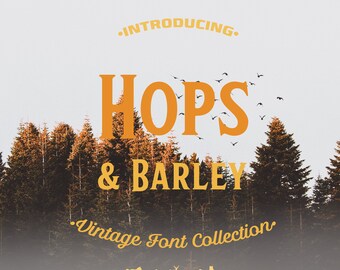 16 IN 1 Font Bundle Download / HOPS & BARLEY / Vintage Font Collection / Pictograms Font / Digital Font / Instant Download Fonts