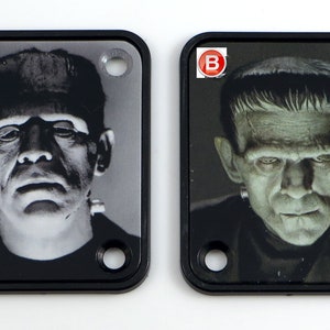 Peut inclure: Deux plaques de guitare noires avec un motif de Frankenstein. Les plaques ont quatre trous de vis et sont étiquetées A et B.