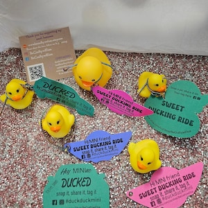 Jeu amusant d'étiquettes de canard pour les sourires des amateurs de MINIacs ou de bips sur des kilomètres, cartes d'étiquettes de voiture