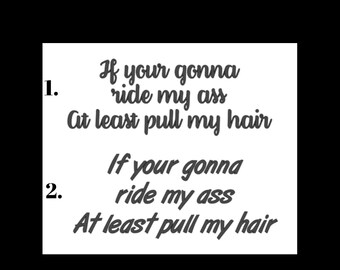 Ride my A ** pull my hair naughty car decal