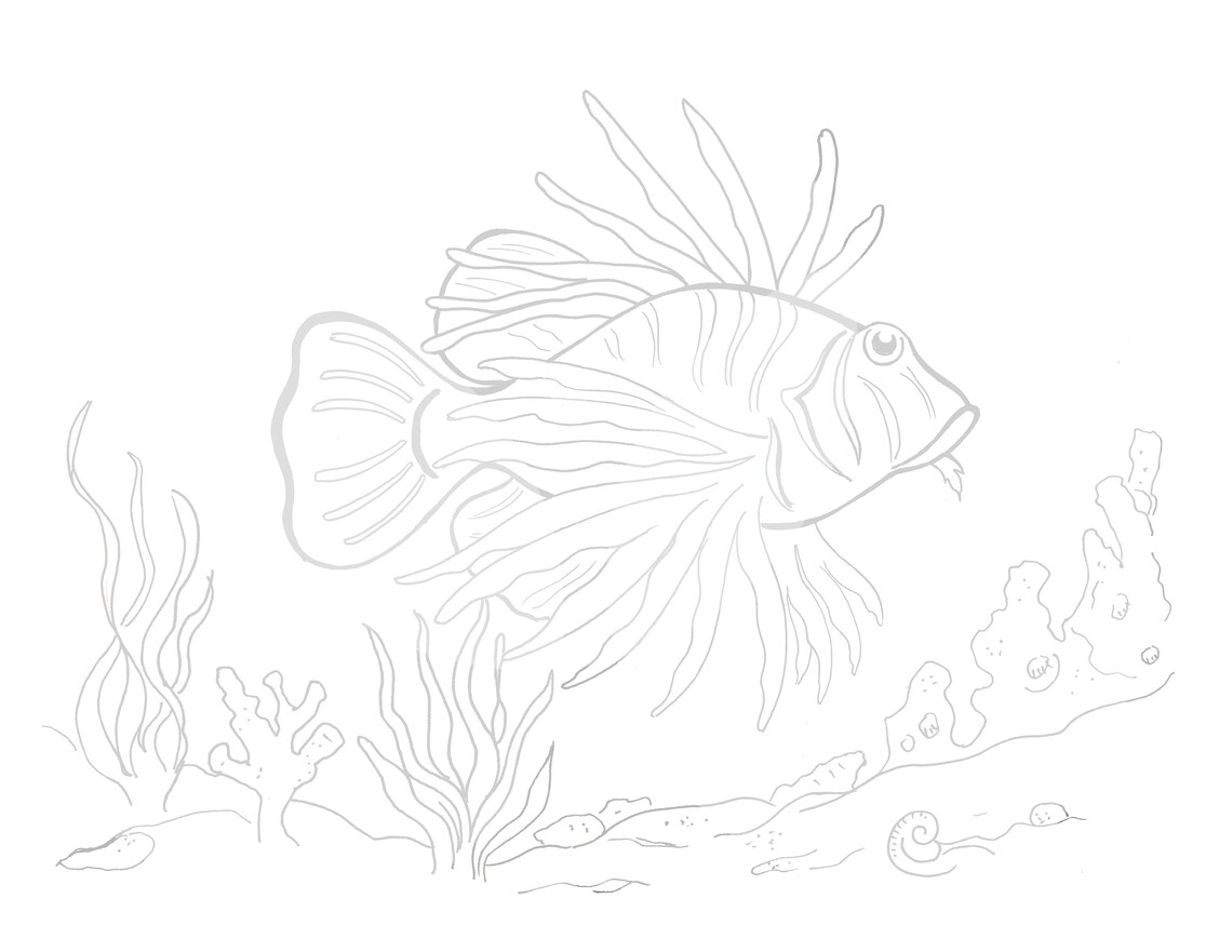 Lionfish Coloring Page, L for Lionfish, Fish Digital Download, Coloring