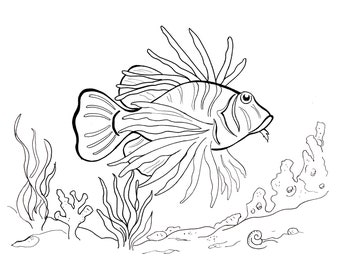 Lionfish Coloring Page, L For Lionfish, Fish Digital Download, Coloring Pages, Animal Coloring Art, Kids Coloring, Coloring Pages
