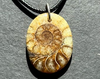 Sterling Silber Fossil Ammonit Anhänger - natürlicher Spiral Muschel Schmuck
