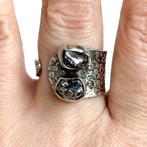 May include: A silver ring featuring two dark, faceted gemstones. The ring has a floral and textured design on the band. The gemstones are set in a bezel setting.