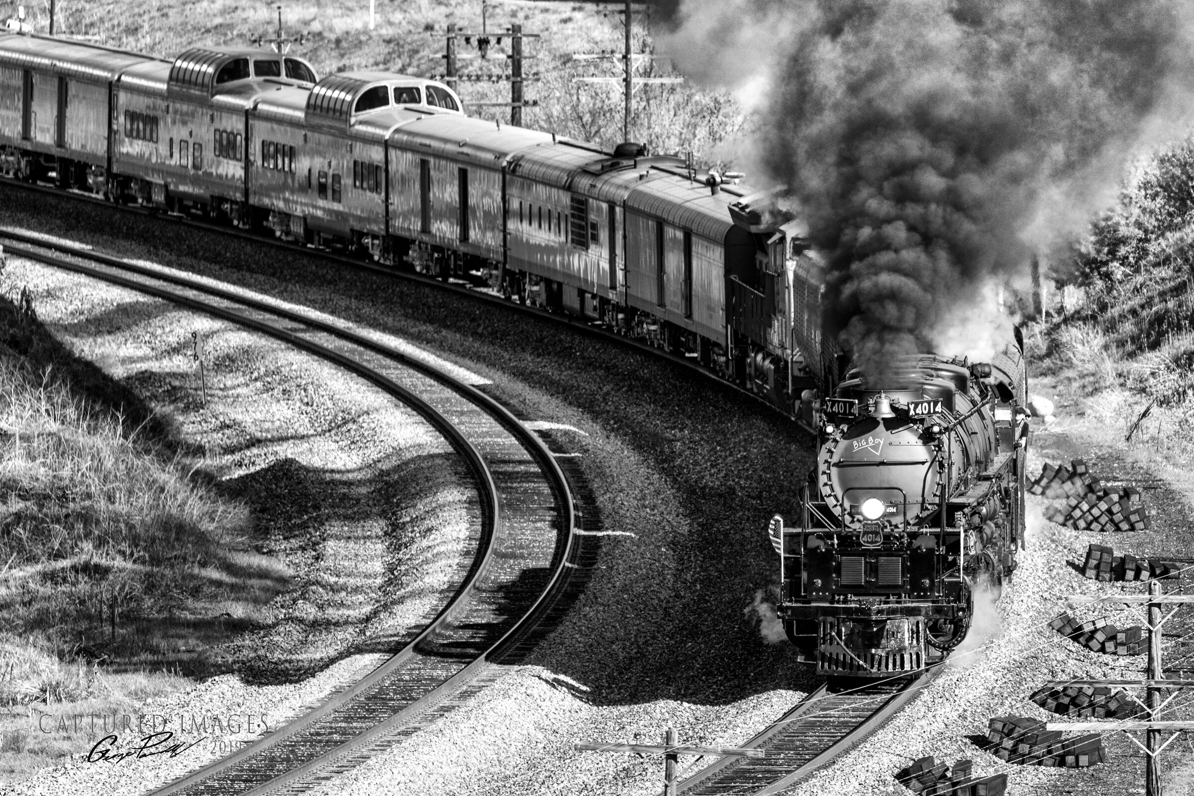 animal puzzle blocks