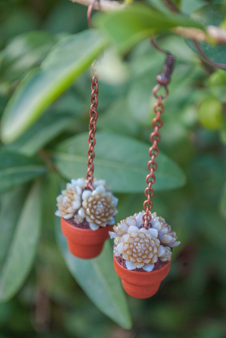 Hanging Plant Earrings Mini Succulent Earrings Mini Plant Etsy