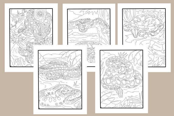 Big Snakes 5 Pack Of Coloring Pages Etsy
