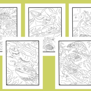 Awesome Lizards! 5 pack of coloring pages