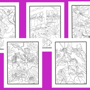 Amazing Bugs! 5 pack of coloring pages.