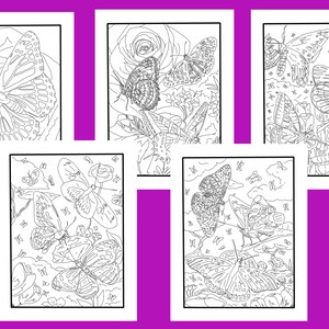 Butterflies! 5 pack of coloring pages.