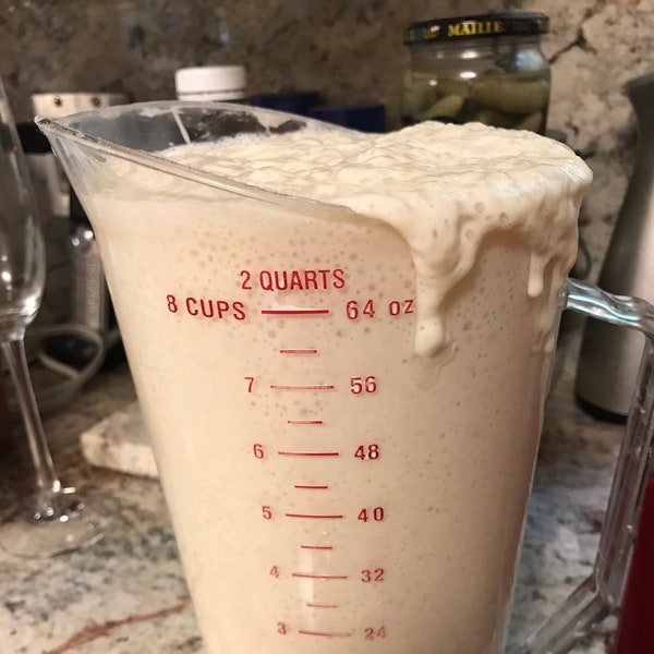 190+ year old Heirloom Organic Sourdough Starter 1877 San Francisco to Mendocino Enough for 2 Batches 2 TBSP| FREE  GIFT| Gift under 10