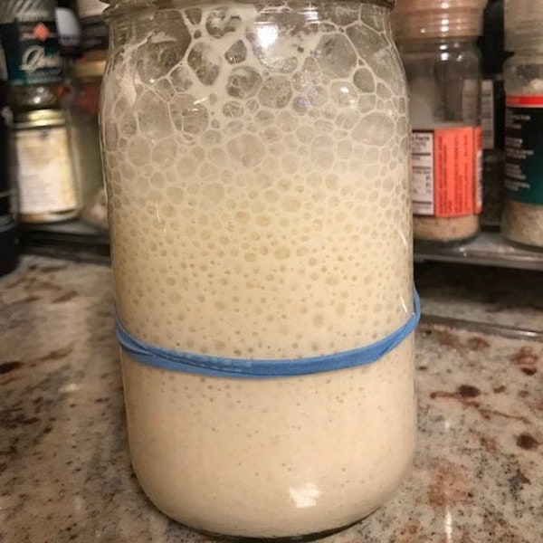 MistressDough 190+ year old Heirloom Organic Sourdough Starter 1877 San Francisco to Mendocino  1 TBSP| Gift under 5| Holiday Gift