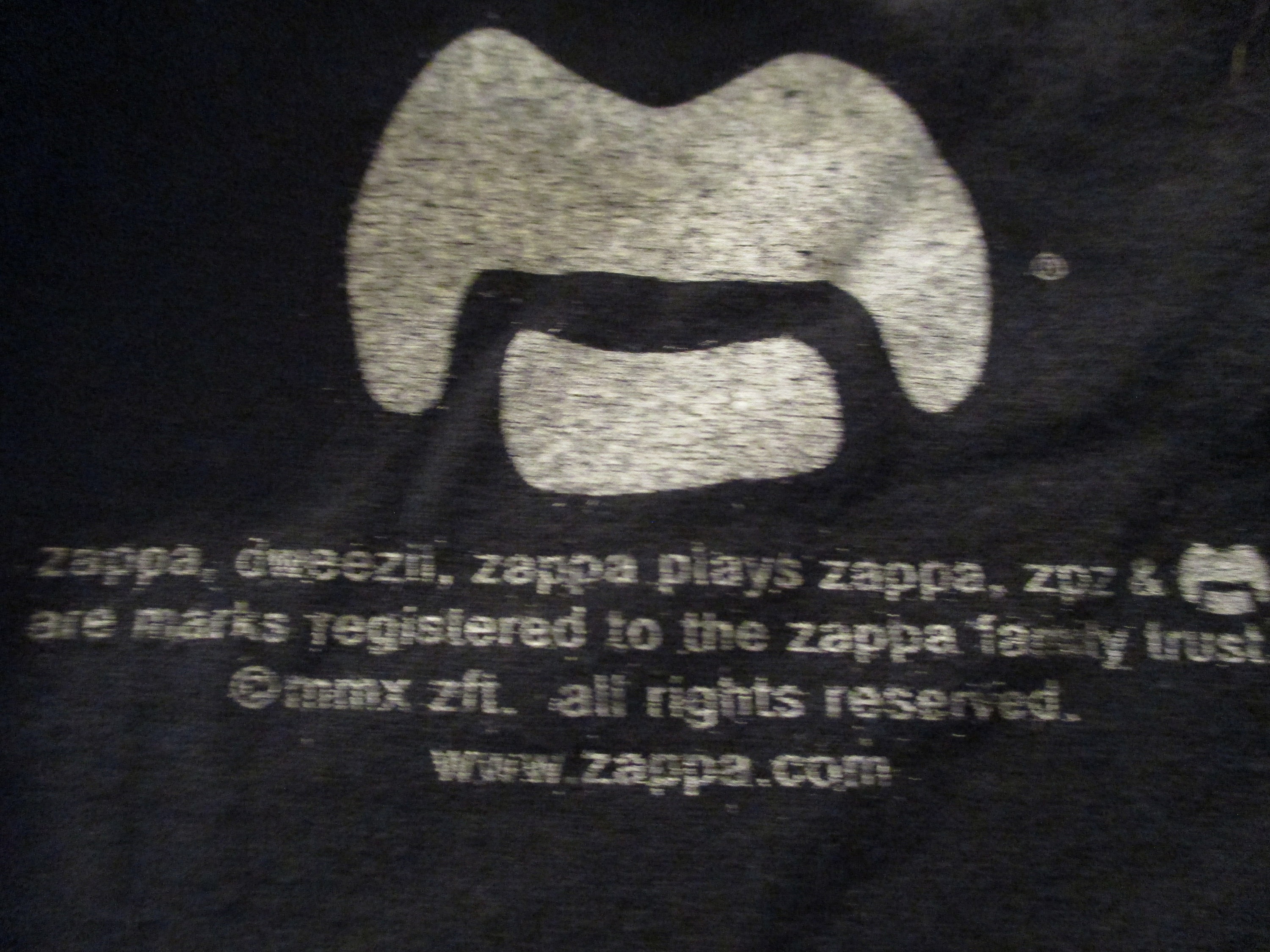 Zappa Plays Zappa: Why Dweezil's Tribute Still Matters