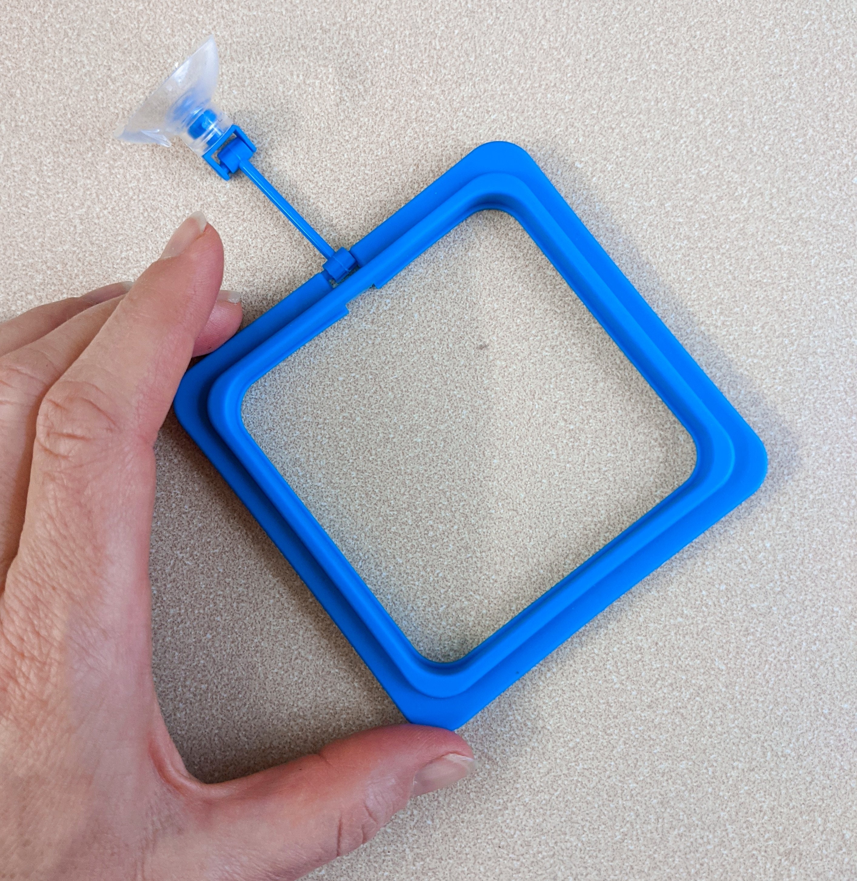 Aquarium Floating Feeding Ring or Plant Corral. Clear Space in Etsy