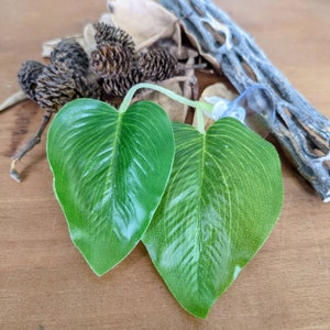 May include: Two artificial green leaves with prominent veining, arranged on a wooden surface. The leaves are heart-shaped and have a glossy appearance. Dried pine cones and a piece of driftwood are in the background, suggesting a natural theme.
