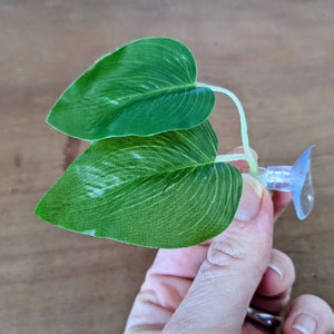 May include: Artificial green plant with two large, textured leaves and a small, clear suction cup. The leaves have visible veining and a light green color. The plant is designed for aquarium or terrarium decoration.