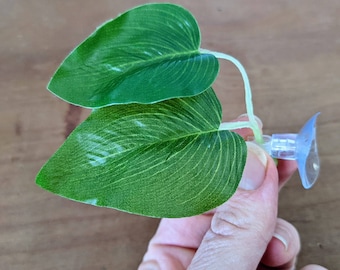Betta bed leaf hammock.  Aquarium safe plastic leaves decoration with suction cup to create a secure resting spot for your betta.