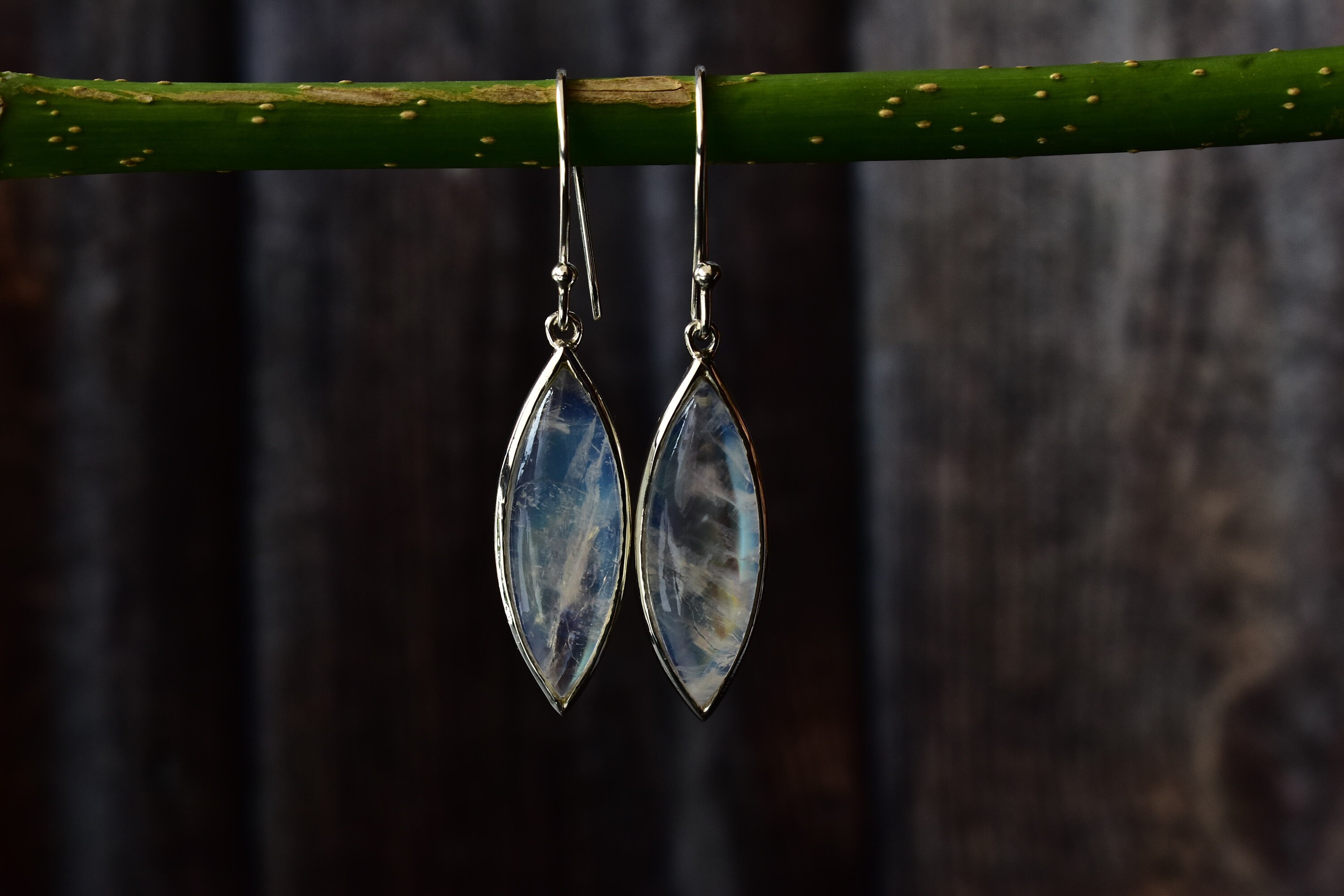 Moonstone Earrings