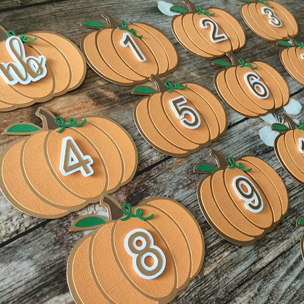 Pumpkin Monthly photo Banner, pumpkin high chair Banner, pumpkin first birthday, our little pumpkin is turning one, fall pumpkin birthday