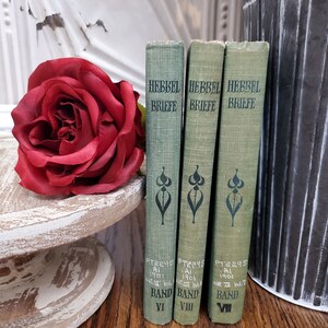 Pu&ograve; includere: Tre libri in copertina rigida verde con il titolo "HEBBEL BRIEFE" e il testo "PT2295 Al 1901" e "BAND VI", "BAND VIII" e "BAND VII" sui dorsi.