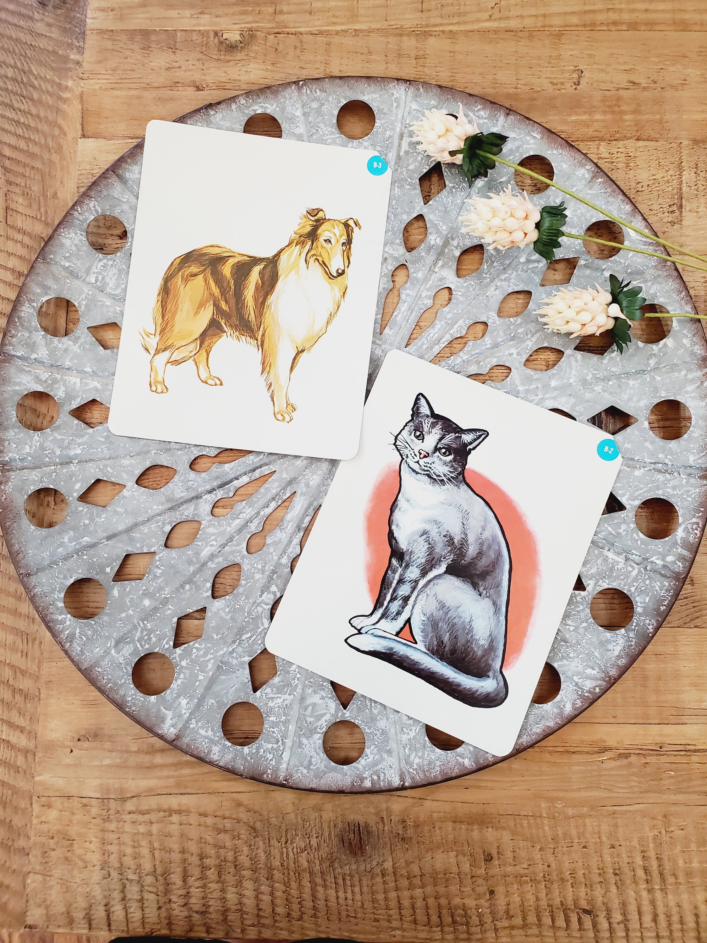 Vintage Cat Dog Flash Card Antique Flashcards Vintage - Etsy