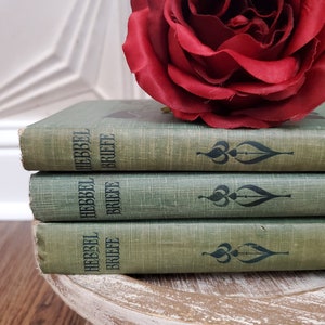 Pu&ograve; includere: Una pila di tre libri in copertina rigida verde con il titolo "HEBBEL BRIEFE" sul dorso. Un'unica rosa rossa riposa sopra i libri.