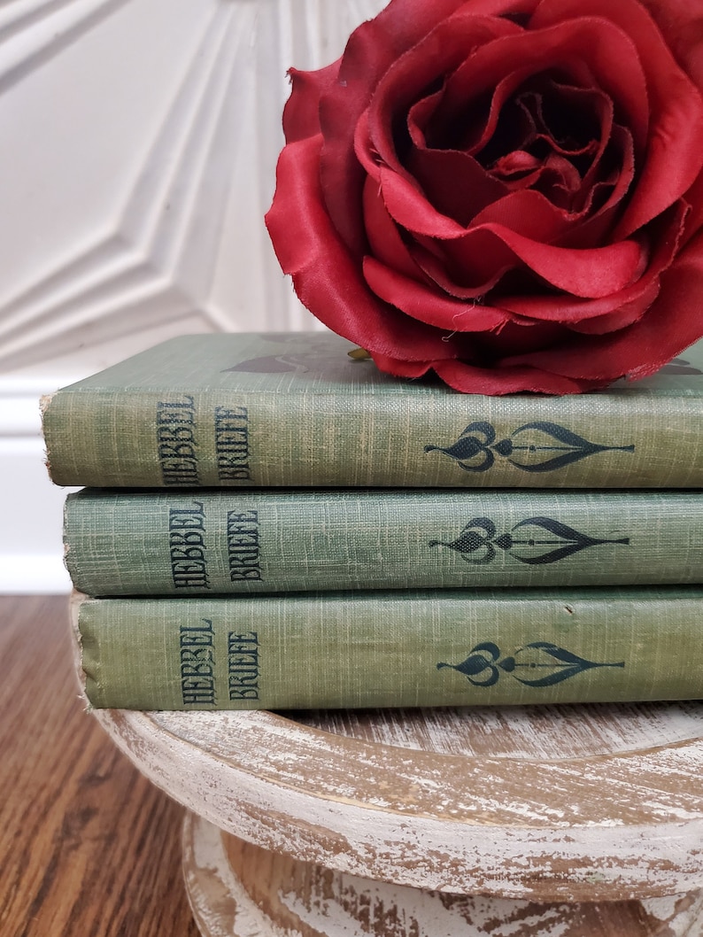 Pu&ograve; includere: Una pila di tre libri in copertina rigida verde con il titolo "HEBBEL BRIEFE" sul dorso. Un'unica rosa rossa riposa sopra i libri.