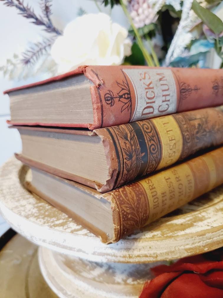 Vintage Books/50cm Set 【RED】洋書　古書　アンティーク e99c5fc1527a255ad1c3b21978229d