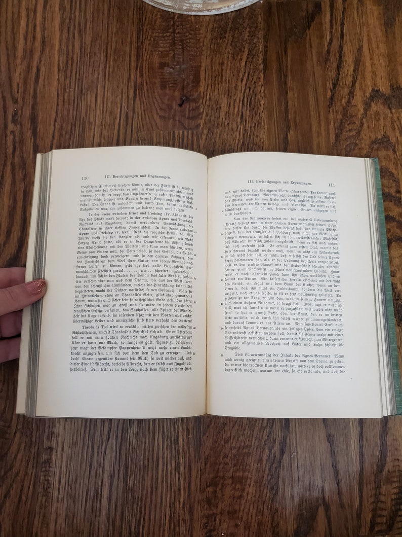 Pu&ograve; includere: Un libro aperto con una copertina verde. Le pagine sono piene di testo in tedesco. Il libro &egrave; intitolato "Berichtigungen und Erg&auml;nzungen".