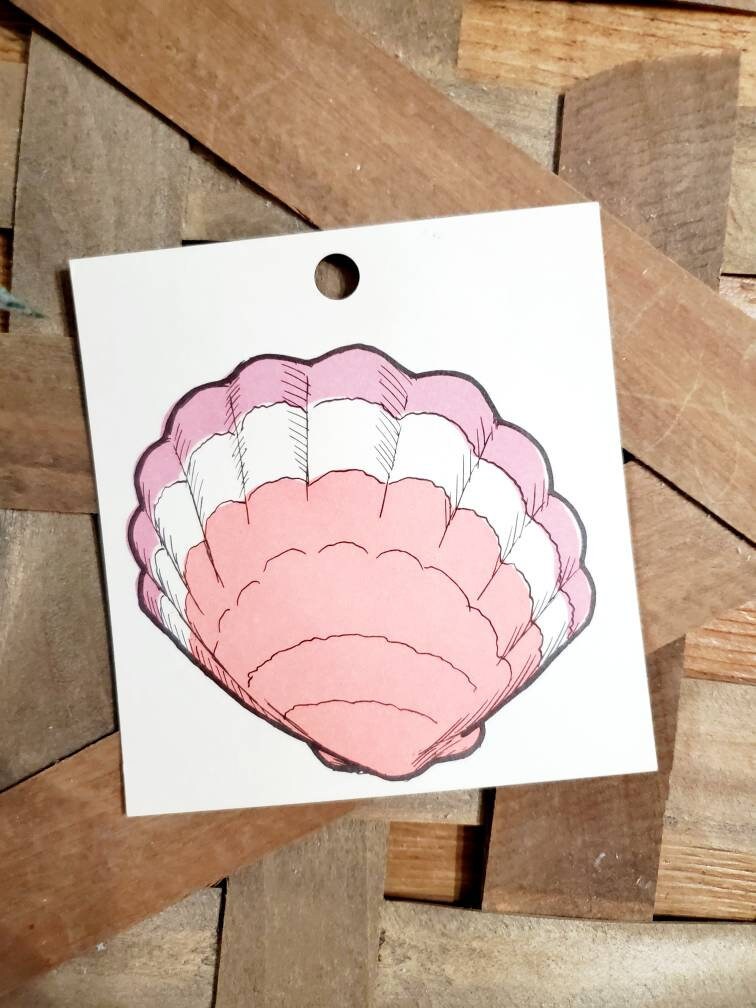 Vintage Shell Flash Cards, Beach Summer Decor, Nautical, Antique ...