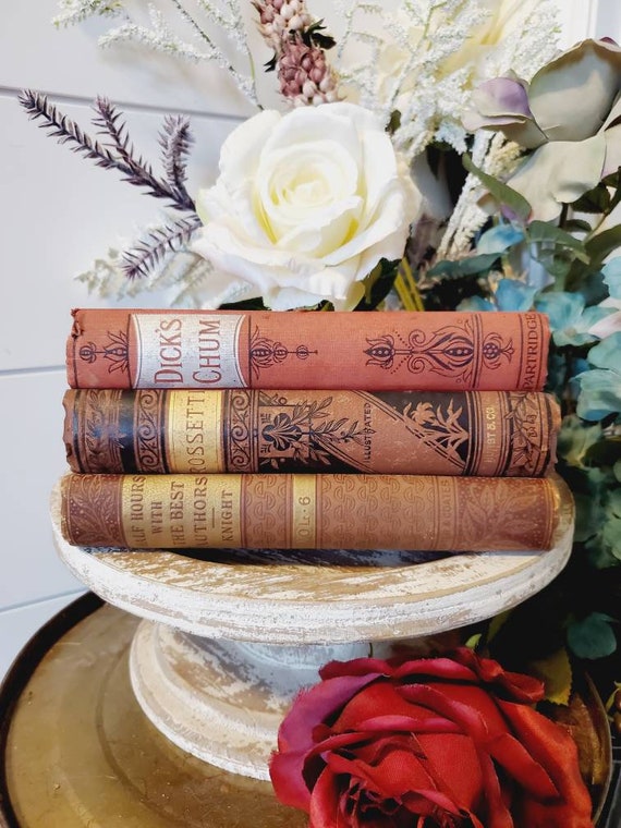 Vintage Books/50cm Set 【RED】洋書　古書　アンティーク s-l1200.jpg