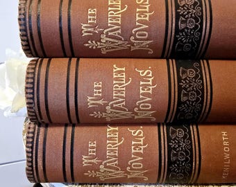 1879 The Waverley Novels, Sir Walter Scott, Antique books, Antiquarian books, Vintage Book Collection, Kenilworth, The Talisman, Fair Maid
