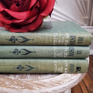Pu&ograve; includere: Tre libri rilegati in verde impilati su un piedistallo di legno bianco. I libri hanno lettere dorate sui dorsi che recitano "BAND VII", "BAND VI" e "BAND VIII". I libri hanno anche il testo "PTR2295", "AI", "1901", "bd.7.bⅢbet8" sui dorsi. Una rosa rossa riposa sui libri.