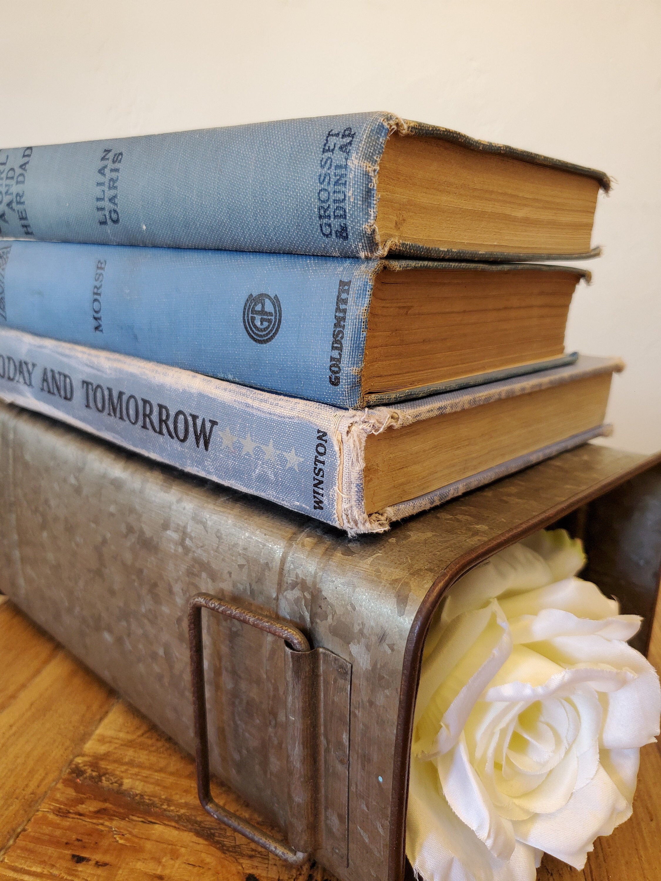 Trio of Blue Vintage Hardcover Books - Set of 3 Vintage