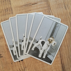 6 Vintage Dog Playing Cards, Antique trade cards, Swap Cards, Congress, Vintage Ephemera, Junk Journal, Scrapbooking, Mixed media supplies