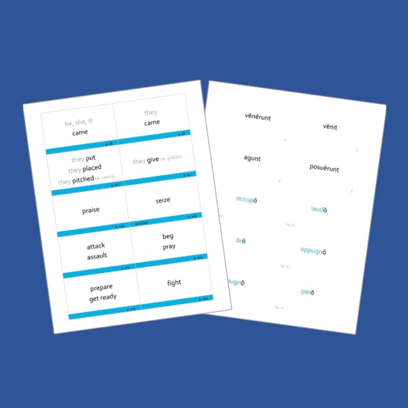 Color Coded Henle Latin Flashcards For Challenge A Units 1 3 Etsy