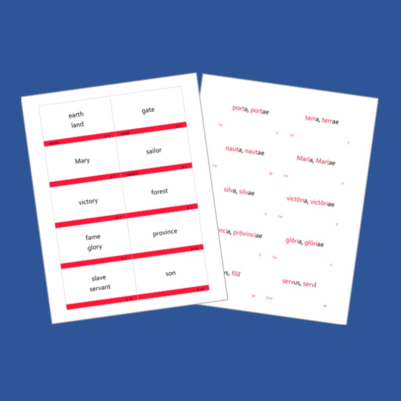 Color Coded Henle Latin Flashcards For Challenge A Units 1 3 Etsy