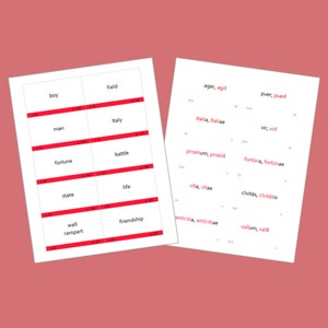 Challenge B (units 4-8) *add-on* Color-coded Henle Latin Flashcards - Etsy