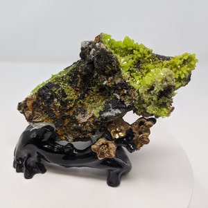 Pyromorphite 5.0&quot; - Large Olive Green Specimen