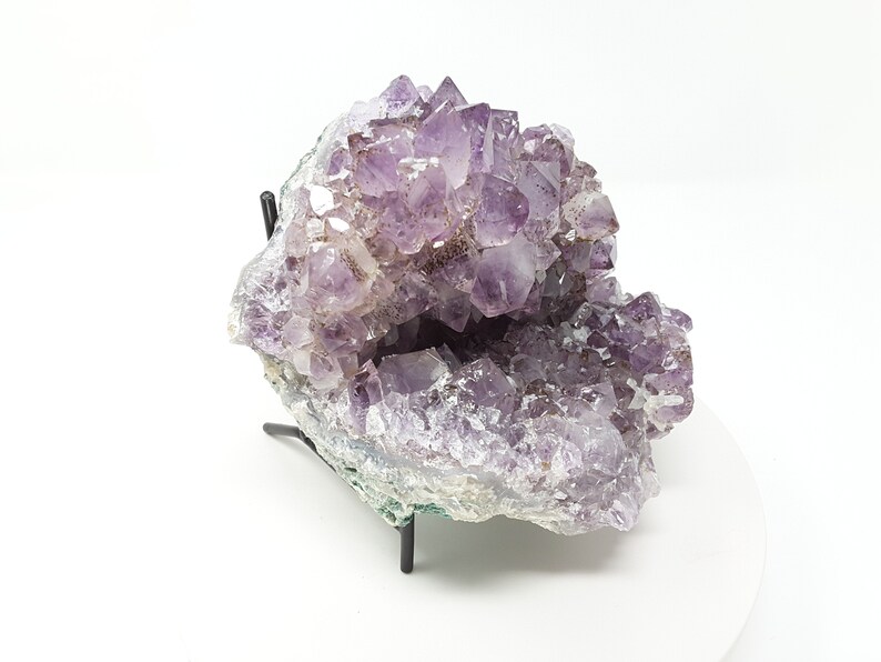Coloranti trasparenti viola [ OFFERTES Luglio