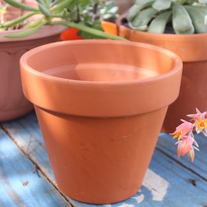 Custom Terracotta garden pot