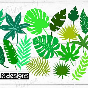Jungle Leaves svg, Tropical leaves svg, Palm Leaf svg, Botanical svg, Svg Files for Cricut, Cut file, dxf files for laser, eps png